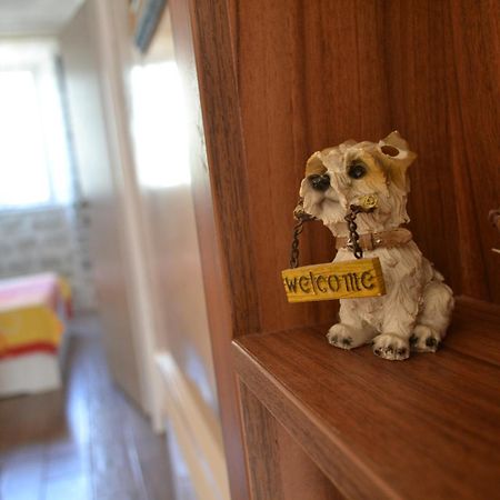 Lanterna Apartments コトル 部屋 写真